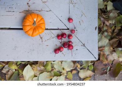 Fall harvest pumpkin and apples on fall background