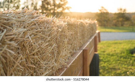 Fall Hayride Festival