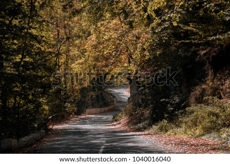 Similar – Image, Stock Photo Forest road landscape with couple riding motorbike