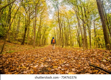 Fall Hike In Sleeping Giant State Park