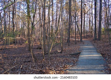 Fall Hiking Trail Thru The Appalachian Forest