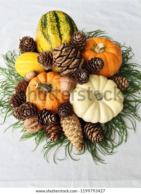 Fall Holiday Decoration Mini Pumpkins Different Stock Photo Edit