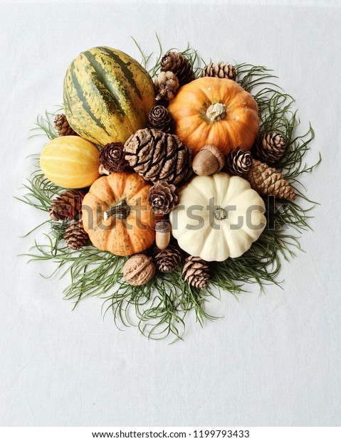 Fall Holiday Decoration Mini Pumpkins Different Holidays