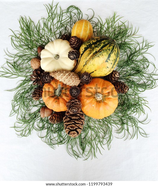 Fall Holiday Decoration Mini Pumpkins Different Stock Photo Edit