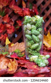 Fall Hops In Beer Glass