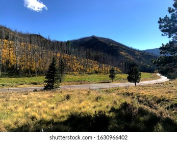 Fall In The Jemez Mountains In NM