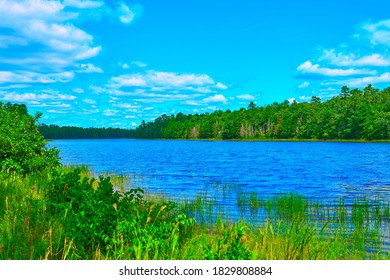 Fall Lake In South New Jersey Pine Barrens