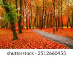 Fall landscape with colorful fall trees and yellow fallen leaves. Fall deserted alley in the city park