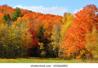 Fall Landscape Eastern Township Bromont, Quebec, Canada