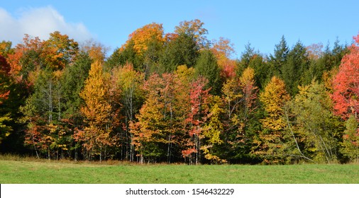 Fall Landscape Eastern Townships Quebec Province Canada