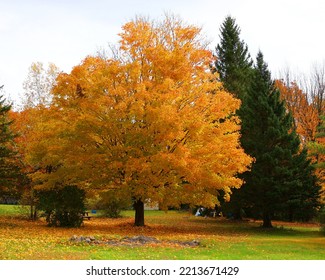 Fall Landscape Eastern Townships Quebec Province Canada