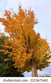 Fall Landscape Eastern Townships Quebec Province Canada