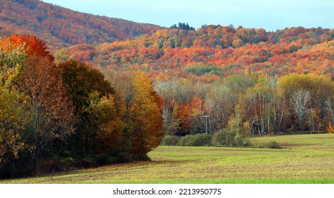 Fall Landscape Eastern Townships Quebec Province Canada