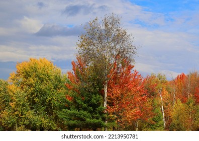 Fall Landscape Eastern Townships Quebec Province Canada