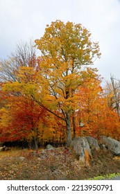 Fall Landscape Eastern Townships Quebec Province Canada