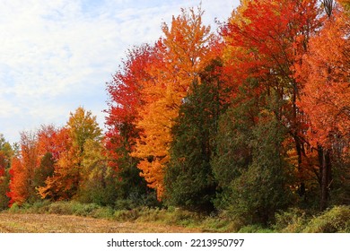 Fall Landscape Eastern Townships Quebec Province Canada