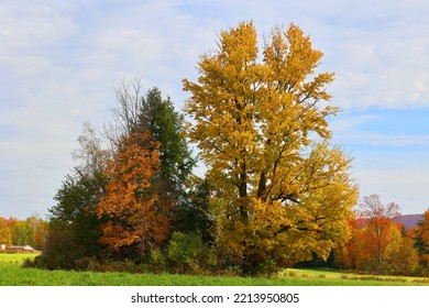 Fall Landscape Eastern Townships Quebec Province Canada