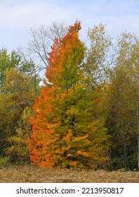 Fall Landscape Eastern Townships Quebec Province Canada