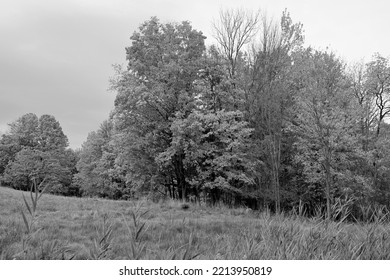 Fall Landscape Eastern Townships Quebec Province Canada