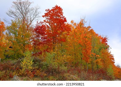 Fall Landscape Eastern Townships Quebec Province Canada