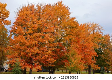 Fall Landscape Eastern Townships Quebec Province Canada