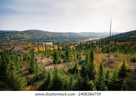 Fall landscape over Grands-Jardins national park on a sunny day, Charlevoix, Quebec, Canada
