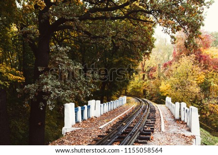 Fall landscape. Railroad tracks through the woods in autumn