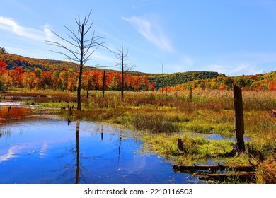 Fall Landscape Reflection Bromont Eastern Township Quebec Province Canada