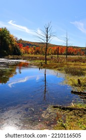 Fall Landscape Reflection Bromont Eastern Township Quebec Province Canada