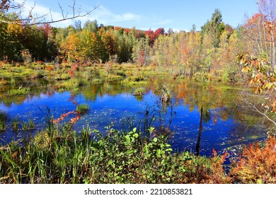 Fall Landscape Reflection Bromont Eastern Township Quebec Province Canada