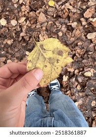 Fall leaf hand held young child 