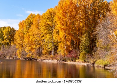 Fall Leaf At Yakima River