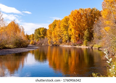 Fall Leaf At Yakima River