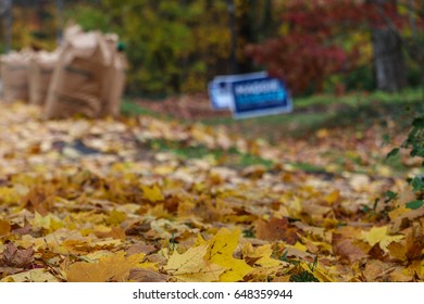 Fall leave clean up
