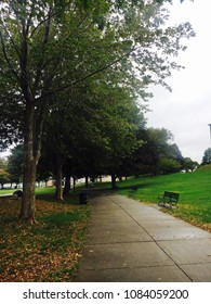 Fall Leaves In Castle Island Boston