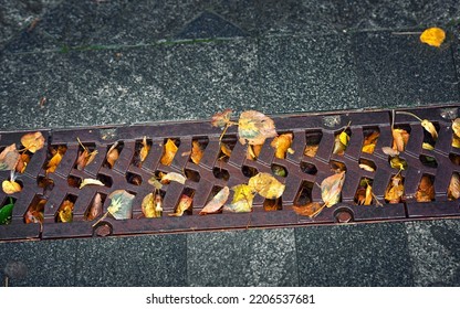 Fall Leaves Clogging Drain In The Street. Drain Blocked By Leaves In Autumn Season. Fallen Leaves Cover Metal Drainage Grid. Flooding Threat, Fall Leaves Clogging Storm Drain