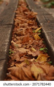 Fall Leaves Crowded In Between The Wood Of An Old Boat Dock Stairwell.