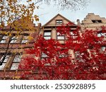 Fall leaves in front of a row of historic townhouses with ornate gables on a fall day in Hamilton Heights, Harlem, New York City