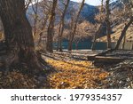 Fall leaves gather on rocks at Convict lake high in Sierra Nevada Mountains. landscape image