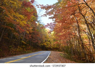 Fall Leaves In North Georgia