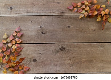 Fall Leaves On Brown Wood Shiplap