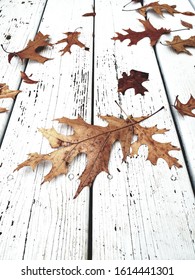 Fall leaves on the Deck