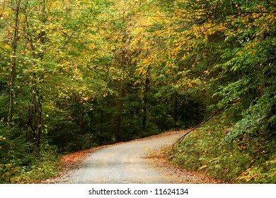 Fall Leaves On Rural Gravel Road In Northwest Georgia Mountains