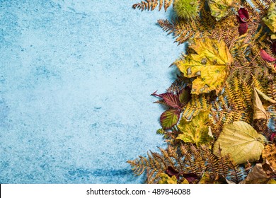 Fall Leaves On Vibrant Background, Copy Space