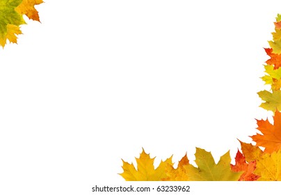 Fall Leaves On White Background Fall Stock Photo 63233962 