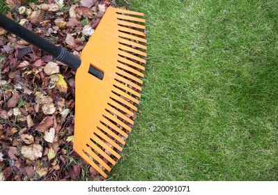 Fall Leaves With Rake On Green Lawn. Plenty Of Copy Space