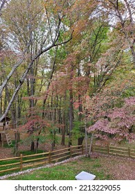 Fall Leaves Seasons Change Maryland Landscape