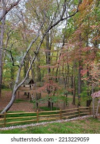 Fall Leaves Seasons Change Maryland Landscape