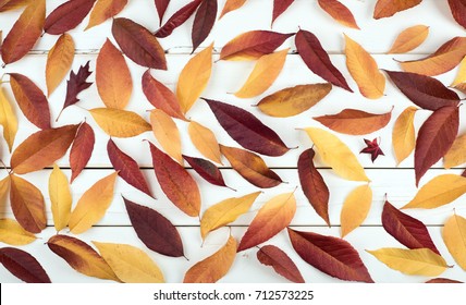 Fall Leaves Still Life Display That Is Pretty With Natural Warm Tones.  Leaves Cover The Rustic Shiplap Wood Board Background For A Wallpaper Or Background.  It's Horizontal Banner But Works Vertical