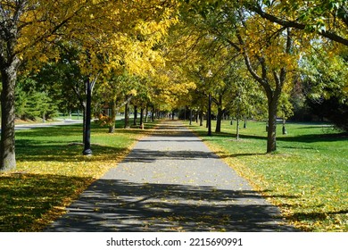 Fall At Liberty State Park. Jersey City.